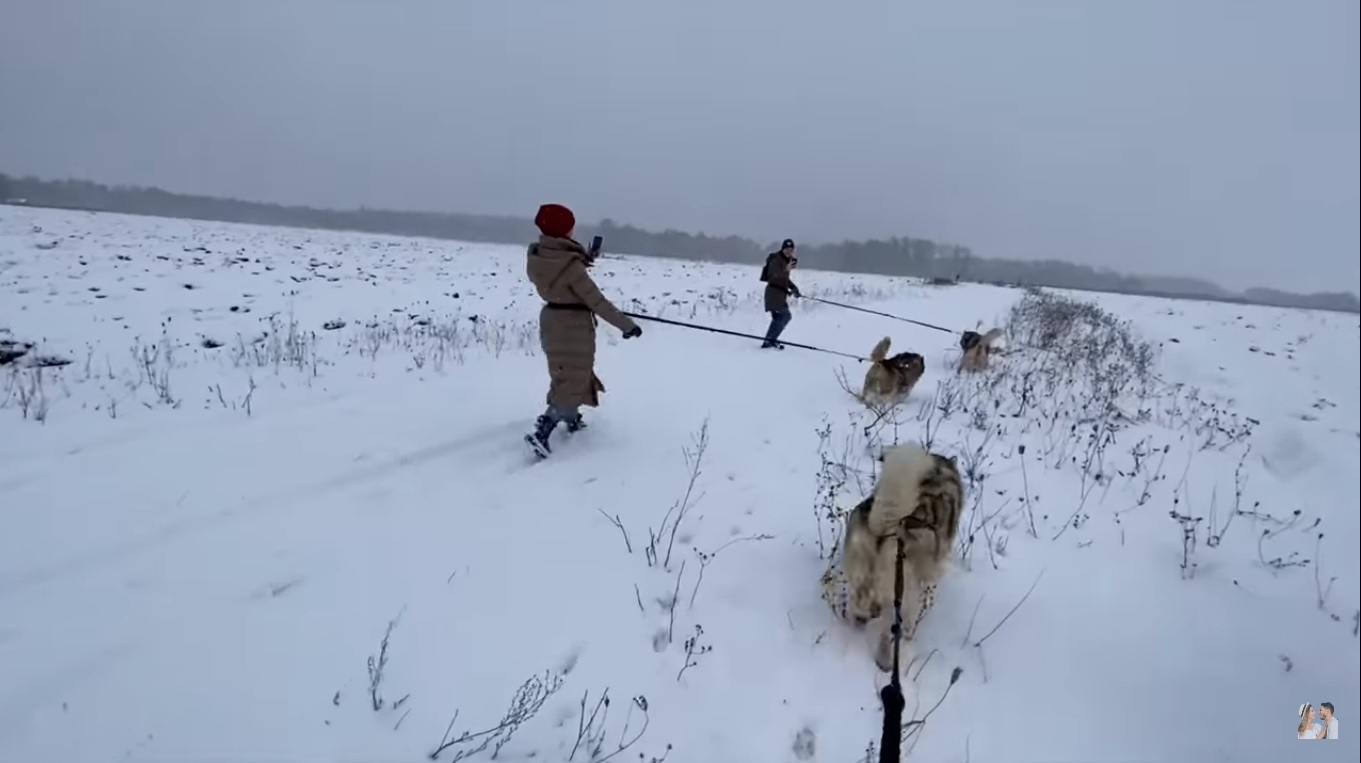 Катание в собачьей упряжке и настоящий вигвам: украинскую Лапландию показали на видео